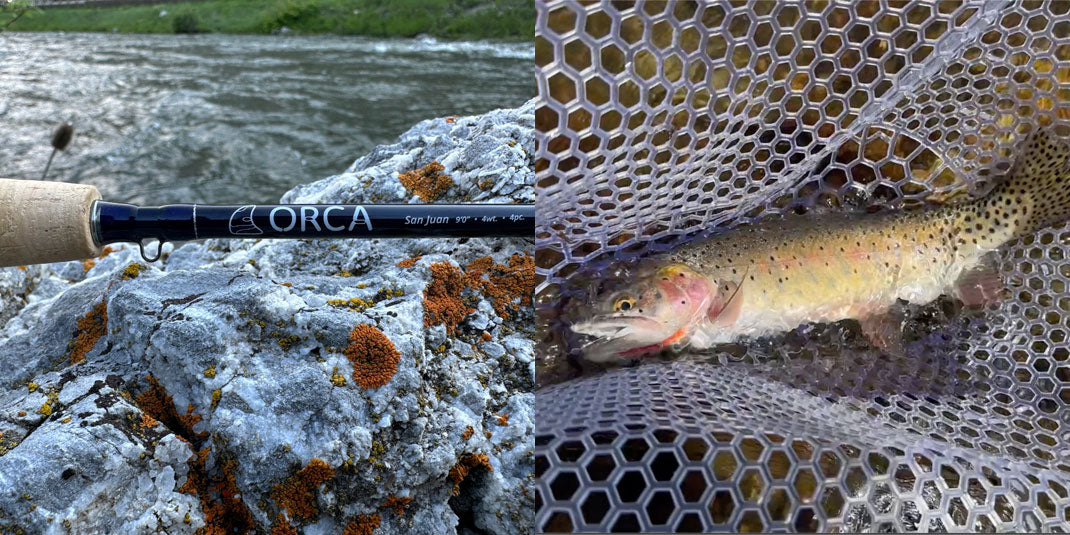 San Juan fly rod and Colorado Cutthroat